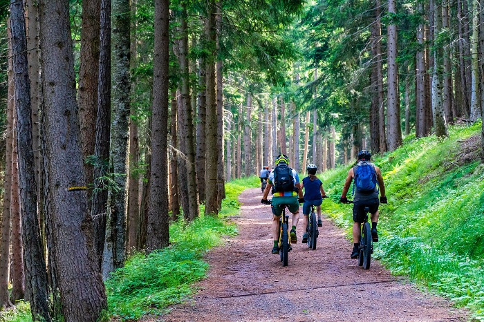 Mátrai erdőben kerékpározó emberek